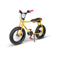 Ruff Cycles Lil Buddy Elektrofahrrad Ruff Cycles Lil Buddy Elektrofahrrad
