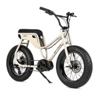 Ruff Cycles Lil Missy E1978 Bosch Pl Cx Elektrofahrrad Ruff Cycles Lil Missy E1978 Bosch Pl Cx Elektrofahrrad