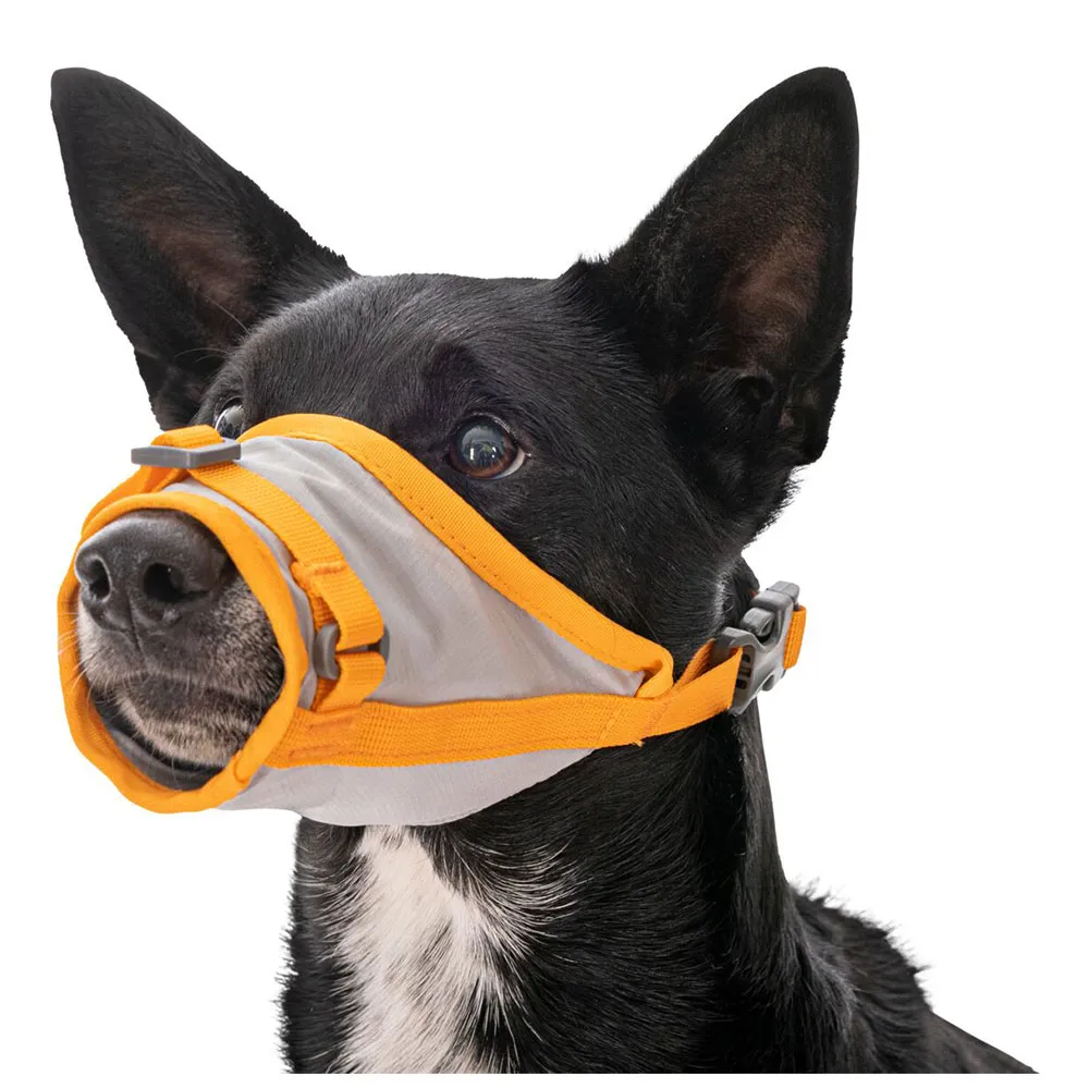 Ruffwear Backtrak™ Evakuierungsset Ruffwear Backtrak™ Evakuierungsset