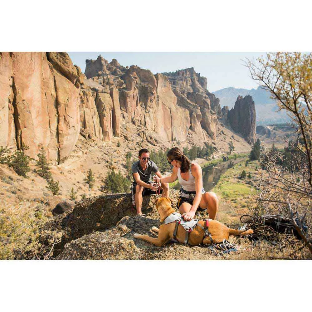 Ruffwear Double Back Hundegeschirr Ruffwear Double Back Hundegeschirr
