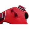 Ruffwear Front Range Hundegeschirr, Red sumac, L/XL