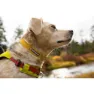 Ruffwear Hi & Light™ Hundehalsband