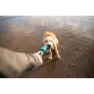 Ruffwear Pacific Loop™ Hundespielzeug, Aurora teal, One Size