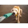 Ruffwear Pacific Loop™ Hundespielzeug, Aurora teal, One Size