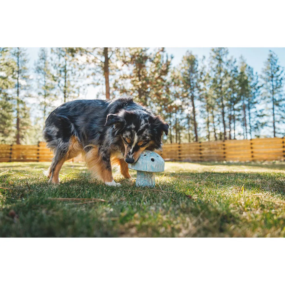 Ruffwear Porchini™ Beißring Ruffwear Porchini™ Beißring