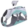 Ruffwear Swamp Cooler™ Hundegeschirr