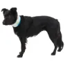 Ruffwear Swamp Cooler™ Nackenwärmer