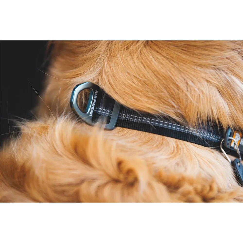 Ruffwear Top Rope™ Hundehalsband Ruffwear Top Rope™ Hundehalsband