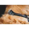 Ruffwear Top Rope™ Hundehalsband