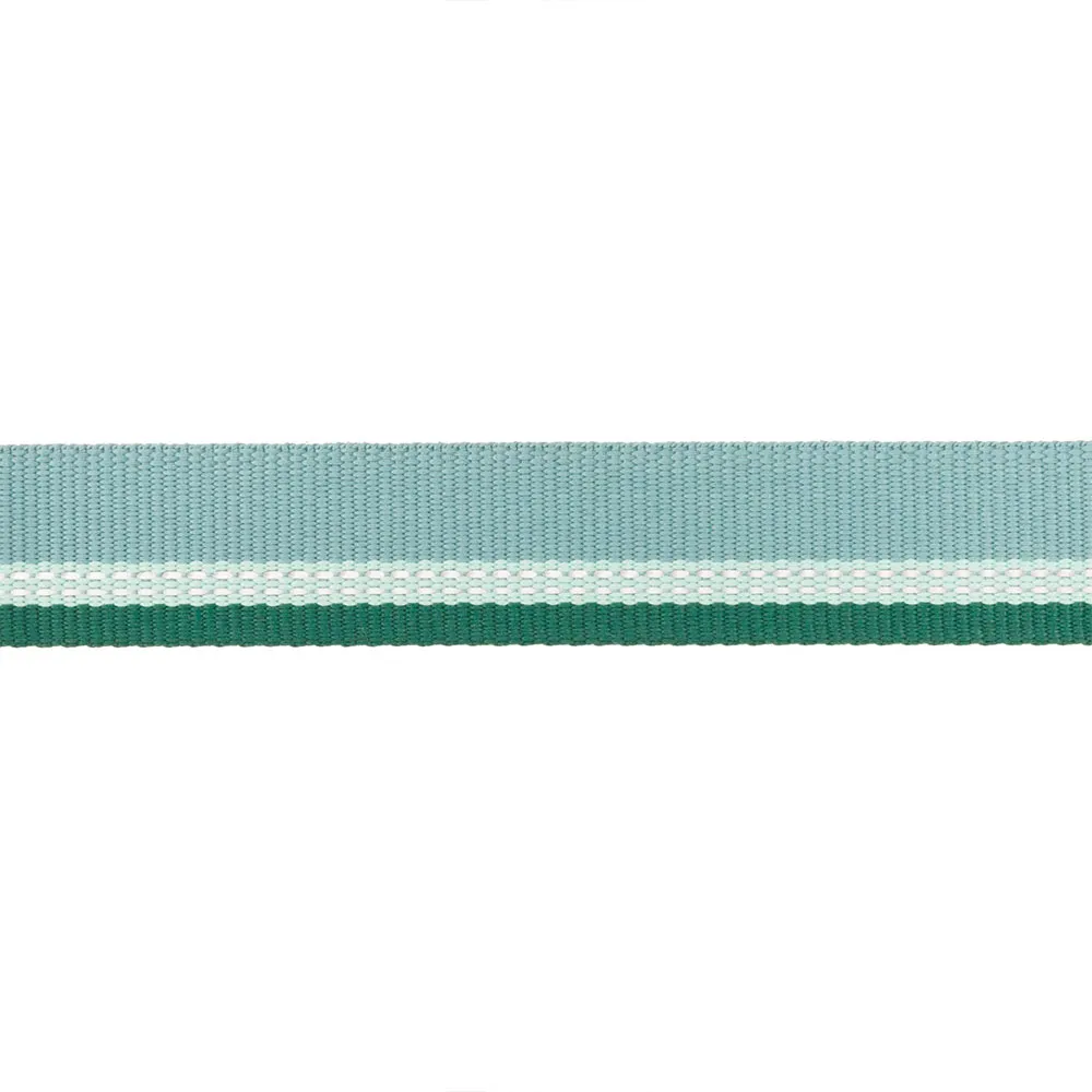 Ruffwear Top Rope™ Hundehalsband