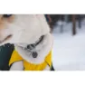 Ruffwear Vert™ Hundejacke