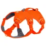 Blaze orange