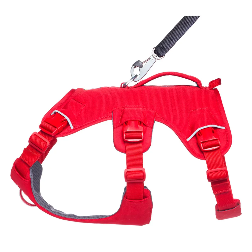 Ruffwear Web Master™ Hundegeschirr