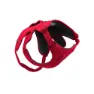 Ruffwear Web Master™ Hundegeschirr
