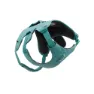 River rock green