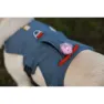 Ruffwear Web Master Hundegeschirr
