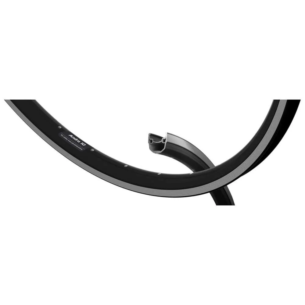 Ryde Andra 10 Disc Felge