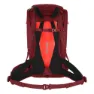 Salewa Alp Trainer 20l Rucksack