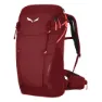 Salewa Alp Trainer 20l Rucksack