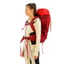 Salewa Alptreck 38+5l Rucksack, Pompeian red / syrah