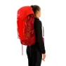 Salewa Alptreck 50+10l Rucksack, Pompeian red / syrah