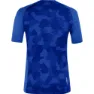 Salewa Cristallo Warm Alpine Merino Responsive Kurzarm-baselayer