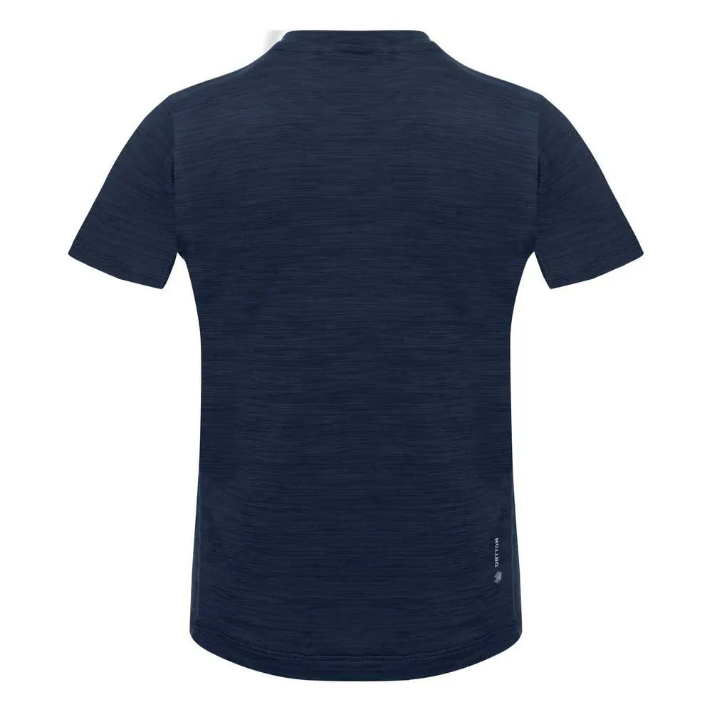 Salewa Eagle Dry Kurzarm-t-shirt Salewa Eagle Dry Kurzarm-t-shirt