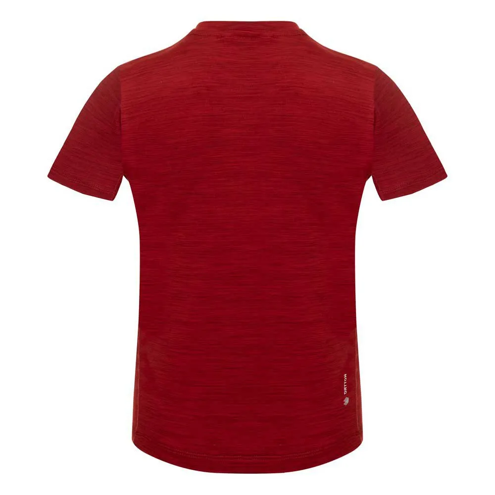 Salewa Eagle Dry Kurzarm-t-shirt Salewa Eagle Dry Kurzarm-t-shirt