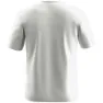 Salewa Eagle Geometric Kurzarm-t-shirt