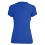 Salewa Graphic Dri-release Kurzarm-t-shirt, Electric melange