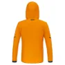 Salewa Pedroc 2.5 Powertex Light Jacke