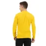 Salewa Pedroc Hybrid 2 Dryton Langarm-t-shirt, Gold melange