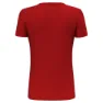 Salewa Pure Eagle Frame Dry Kurzarm-t-shirt
