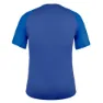 Salewa Seceda Dryton Kurzarm-t-shirt