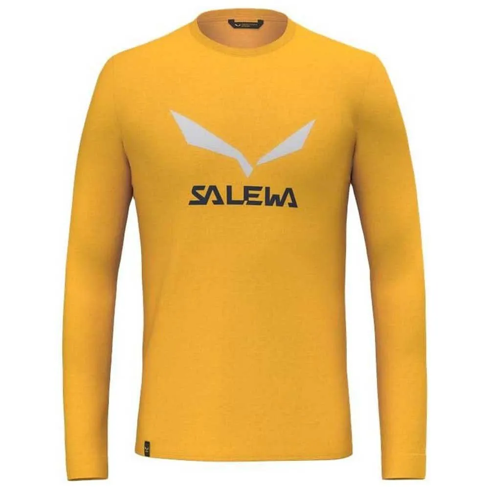 Salewa Solidlogo Dryton Langarm-t-shirt