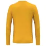 Salewa Solidlogo Dryton Langarm-t-shirt