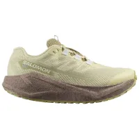 Salomon Aero Blaze 3 Grvl Goretex Laufschuhe female