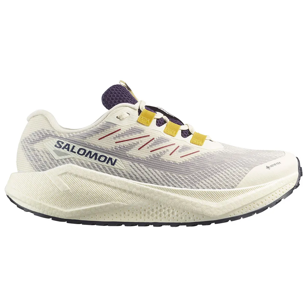 Salomon Aero Blaze 3 Grvl Goretex Laufschuhe male