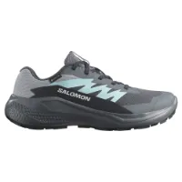 Salomon Alphaglide Goretex Trailrunning-schuhe male