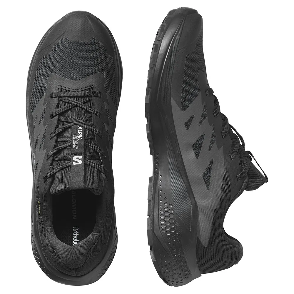 Salomon Alphaglide Goretex Trailrunning-schuhe male