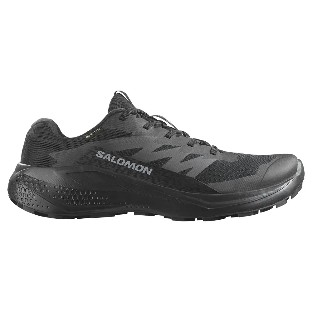 Salomon Alphaglide Goretex Trailrunning-schuhe male