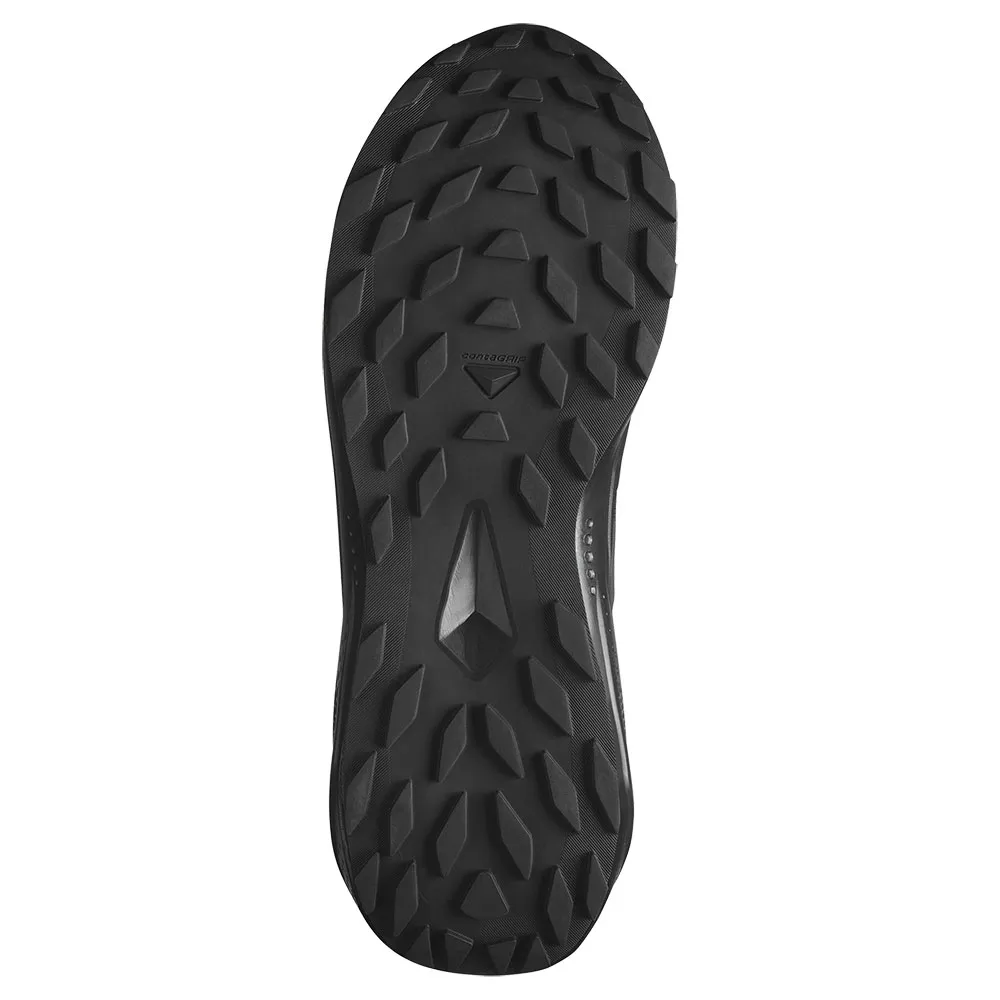 Salomon Alphaglide Goretex Trailrunning-schuhe male