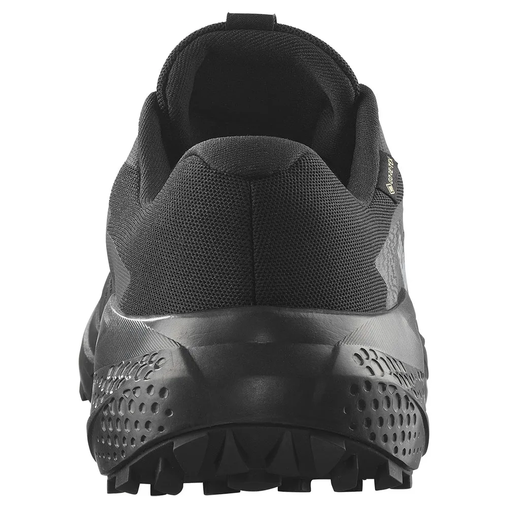 Salomon Alphaglide Goretex Trailrunning-schuhe male