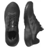 Salomon Alphaglide Goretex Trailrunning-schuhe male