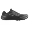 Salomon Alphaglide Goretex Trailrunning-schuhe male
