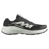 Salomon Alphaglide Trailrunning-schuhe male