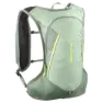 Salomon Cross 4l Rucksack