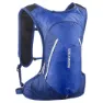 Salomon Cross 4l Rucksack
