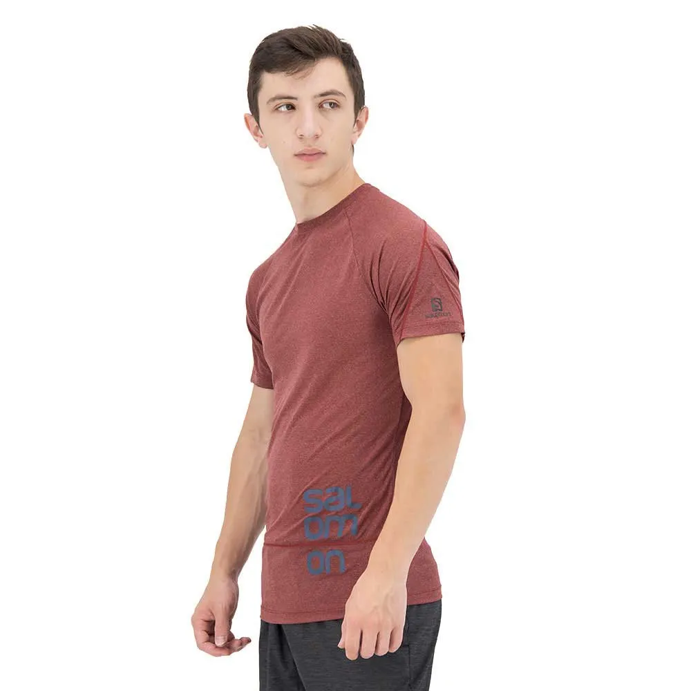 Salomon Cross Run Graphic Kurzarm-t-shirt male, Cabernet / dark denim / heather