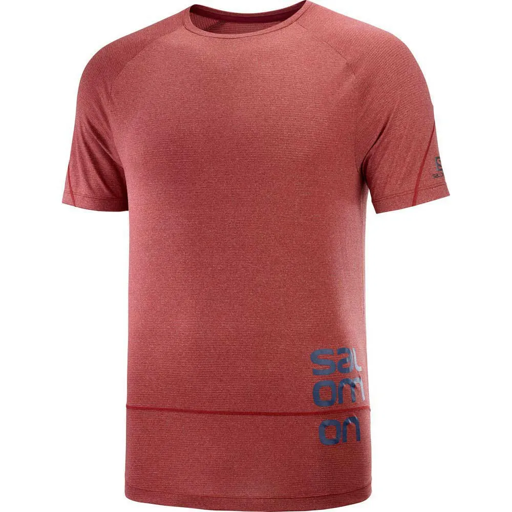 Salomon Cross Run Graphic Kurzarm-t-shirt male, Cabernet / dark denim / heather